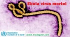Ebola sur madagate.com: les conseils vitaux de l’OMS