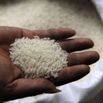 faux riz plastique